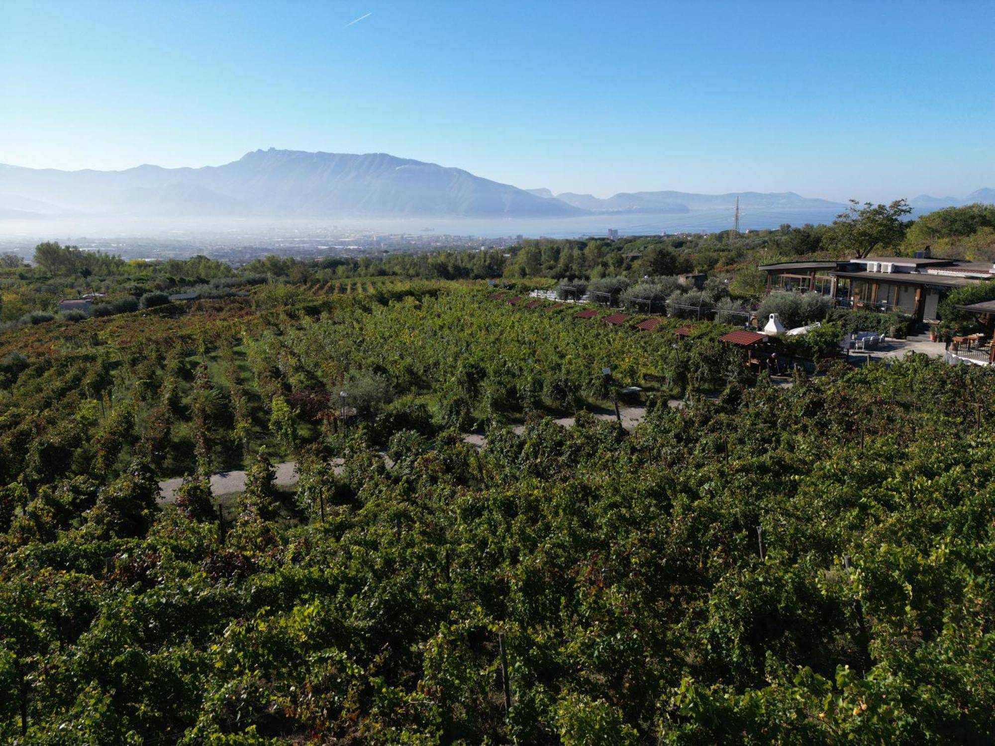 Vesuvio Inn Bed & Wine Experience Boscotrecase Luaran gambar