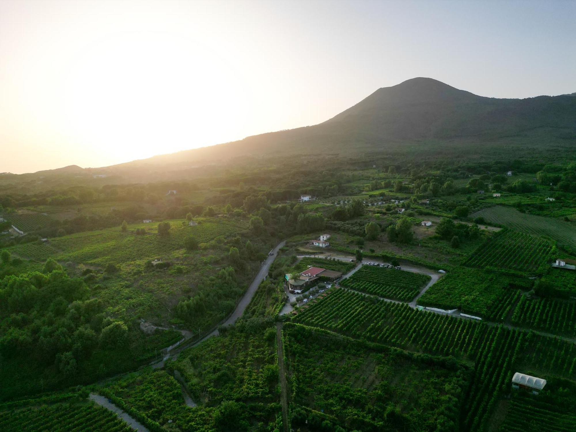 Vesuvio Inn Bed & Wine Experience Boscotrecase Luaran gambar
