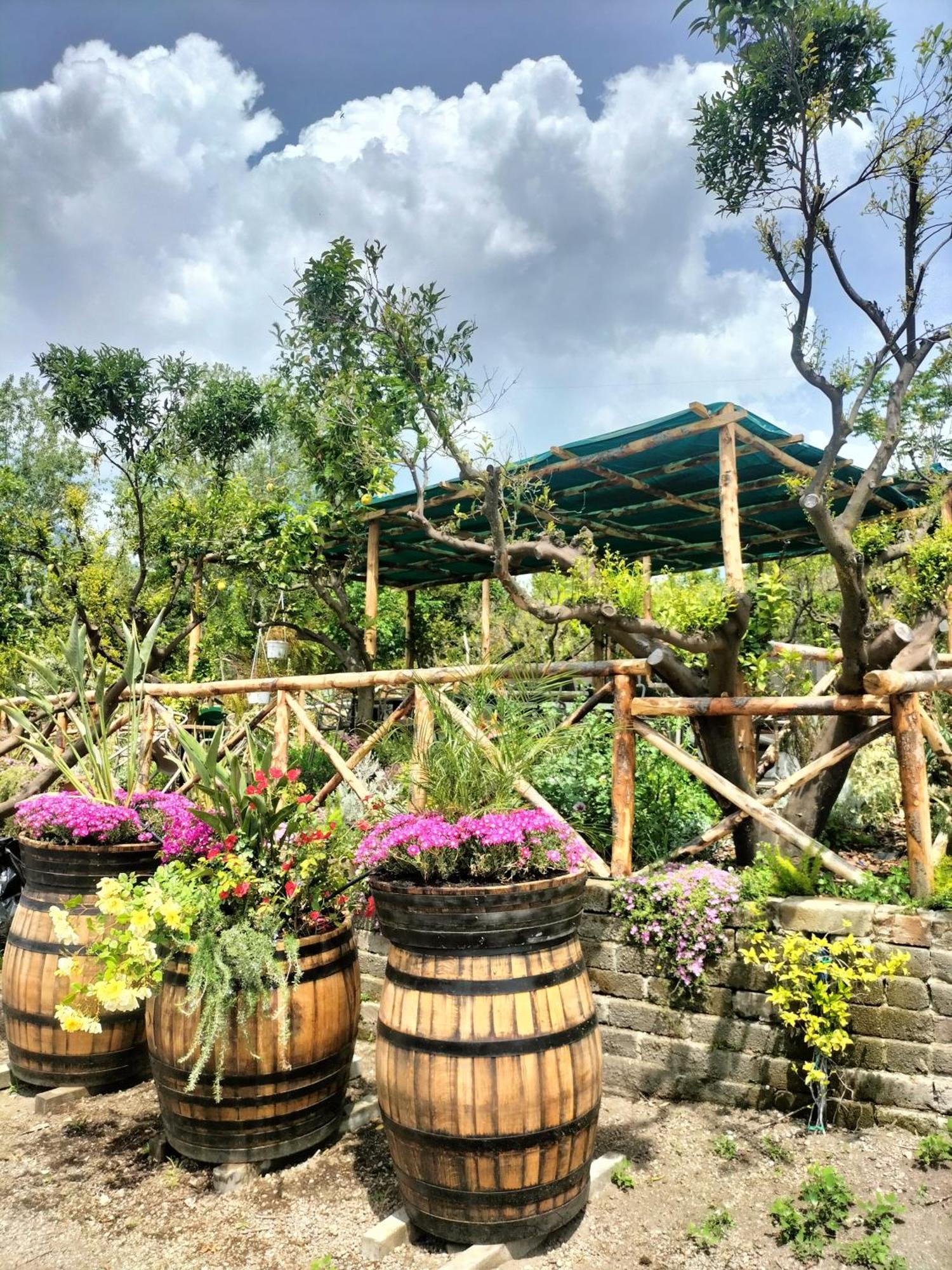 Vesuvio Inn Bed & Wine Experience Boscotrecase Luaran gambar